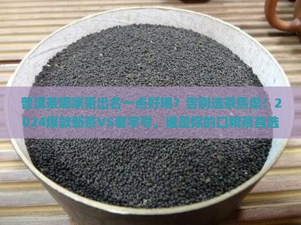普洱茶哪家更出名一点好喝