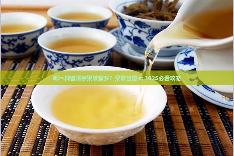 哪一种普洱茶果胶多