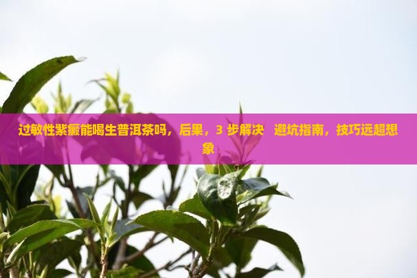 过敏性紫癜能喝生普洱茶吗