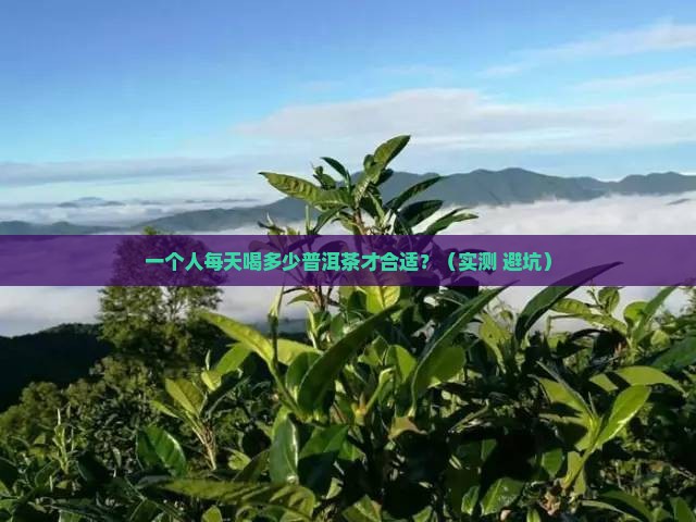 普洱茶一个人多少合适