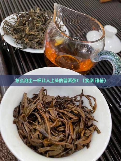 怎样冲泡普洱茶