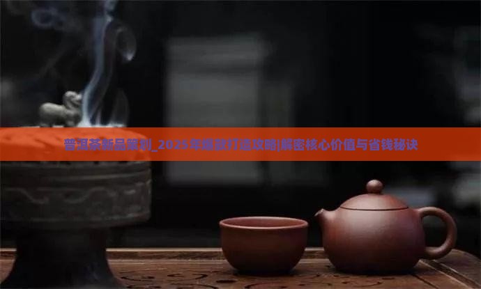 普洱茶新品策划