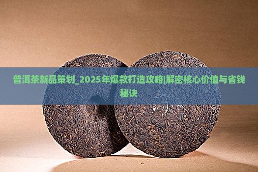 普洱茶新品策划
