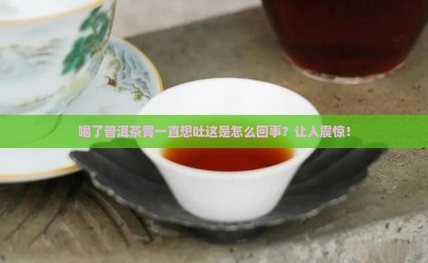 喝了普洱茶胃一直想吐