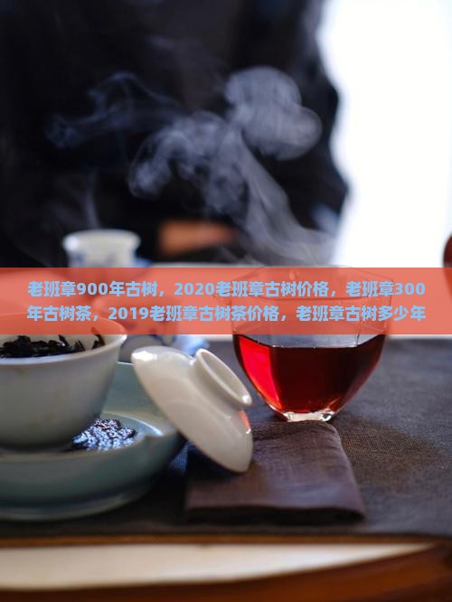 老班章900年古树