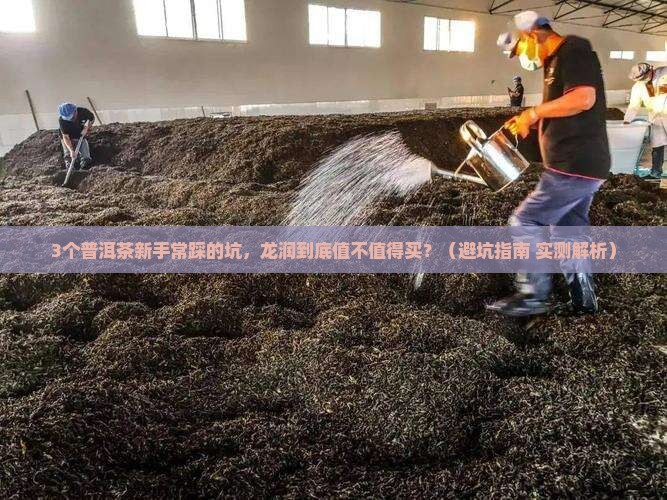 普洱茶龙润怎样