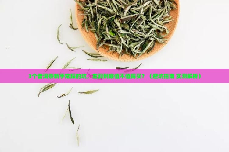 普洱茶龙润怎样