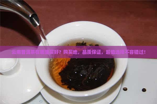 云南普洱茶在哪里买好