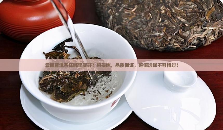 云南普洱茶在哪里买好