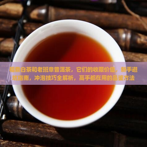 福鼎白茶和老班章普洱茶