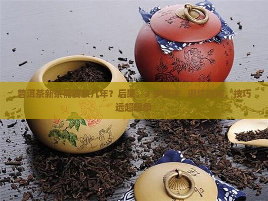 普洱茶新茶需要放几年