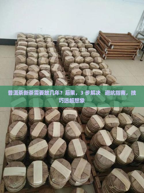 普洱茶新茶需要放几年