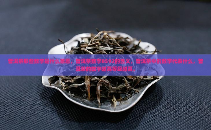 普洱茶那些数字是什么意思