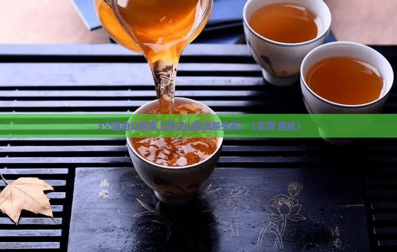 厚正山普洱茶生茶