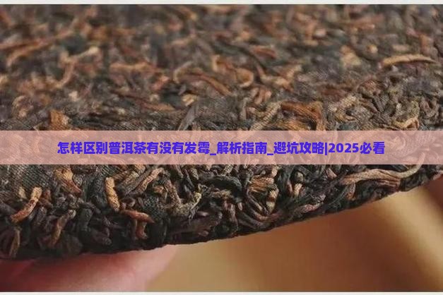 怎样区别普洱茶有没有发霉