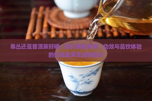 单丛还是普洱茶好喝