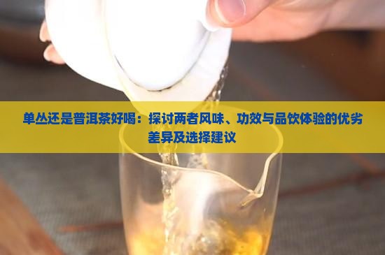 单丛还是普洱茶好喝