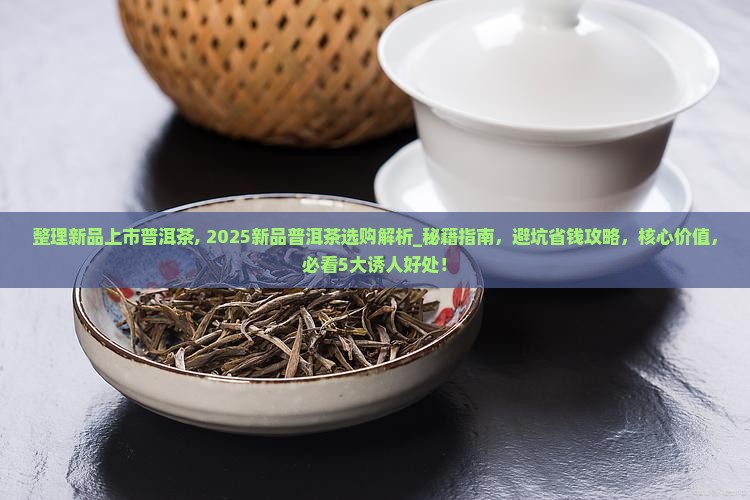 整理新品上市普洱茶