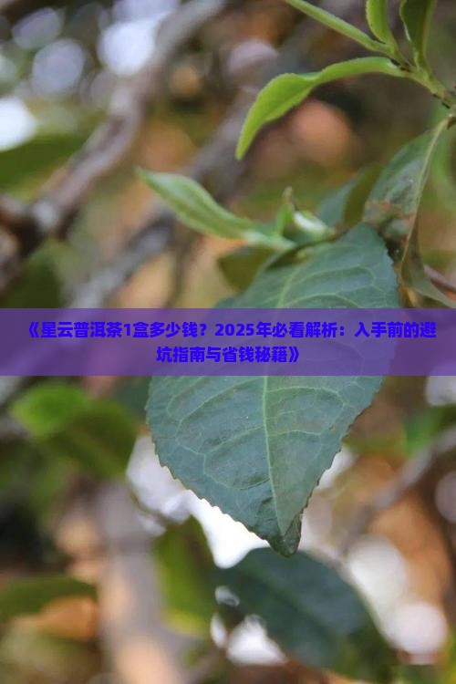 星云普洱茶1盒多少钱
