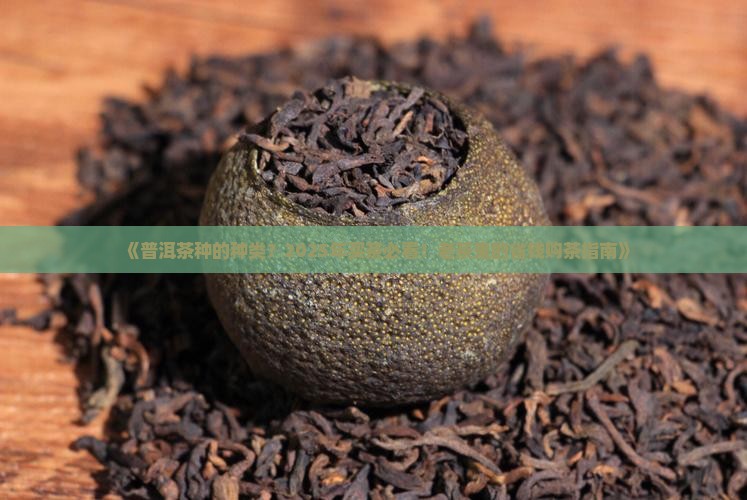 普洱茶种的种类