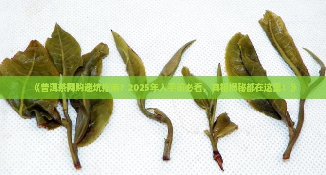 普洱茶网络调研