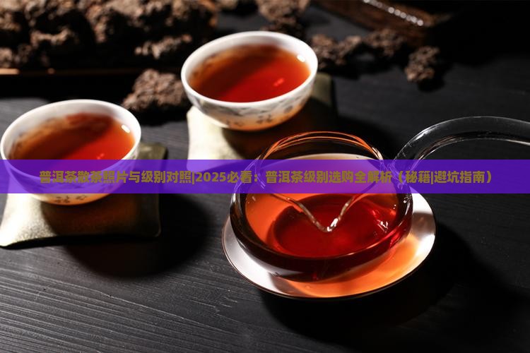 普洱茶散茶照片与级别对照