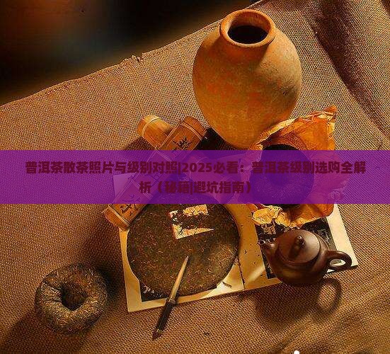 普洱茶散茶照片与级别对照