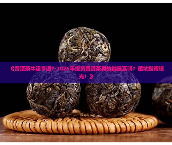 普洱茶牛运亨通