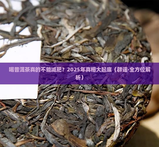 喝普洱茶根本不能减肥