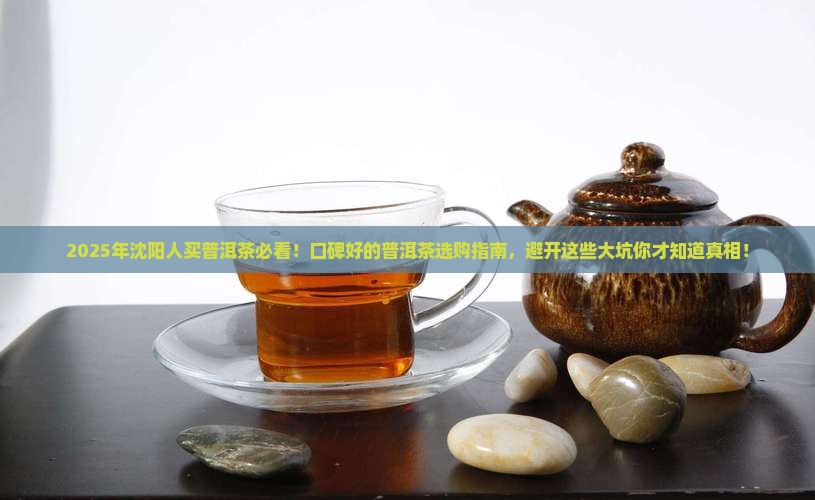 沈阳口碑好的普洱茶