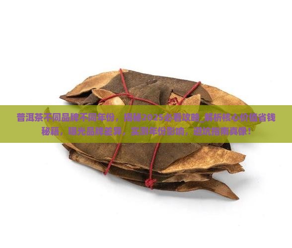 普洱茶不同品牌不同年份