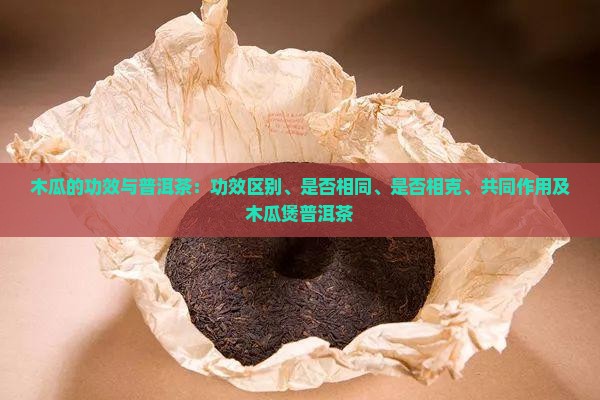 木瓜的功效与普洱茶
