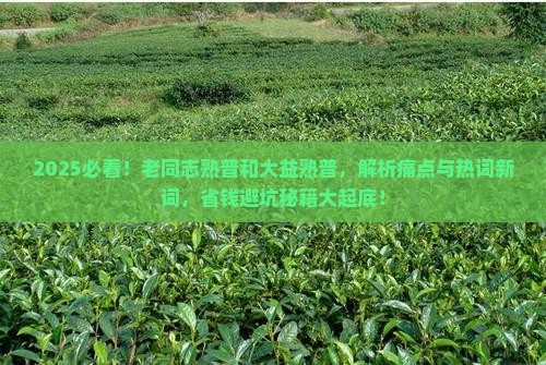 老同志熟普和大益熟普 老同志熟普和大益熟普
