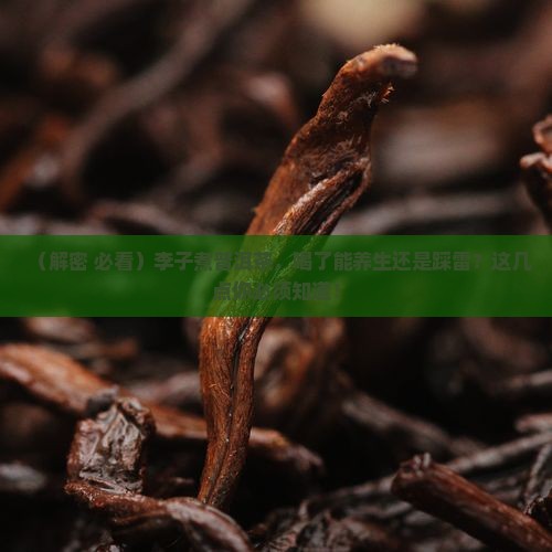 李子煮普洱茶功效与禁忌