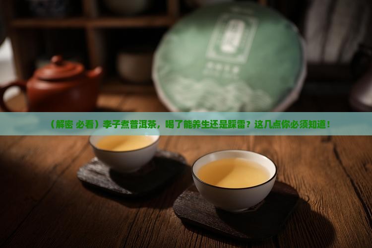 李子煮普洱茶功效与禁忌