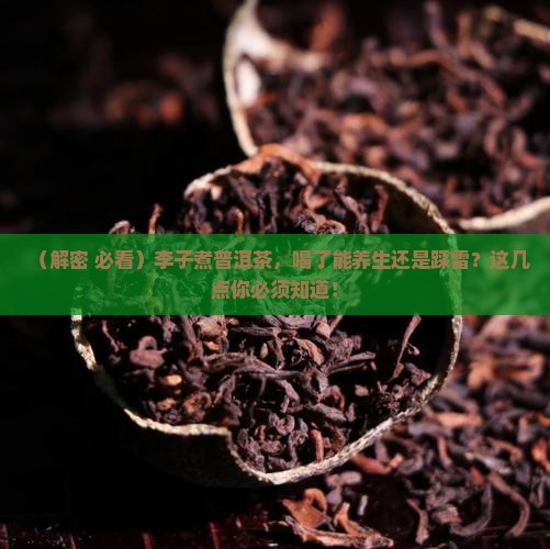 李子煮普洱茶功效与禁忌