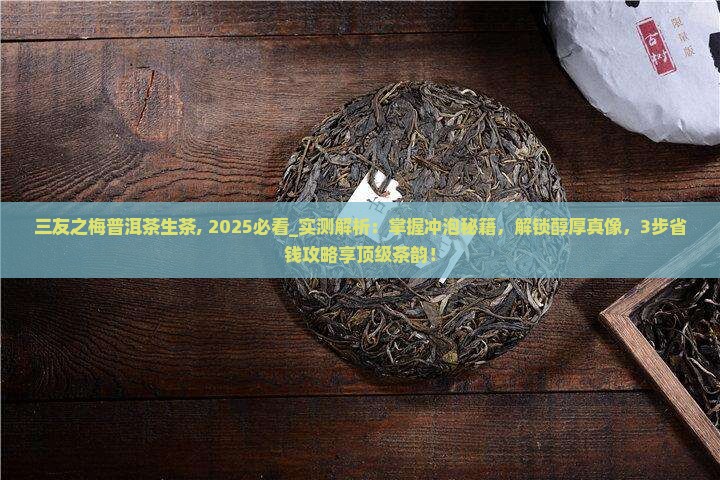 三友之梅普洱茶生茶