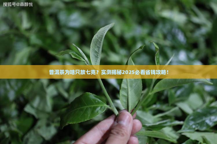 普洱茶为什么要放七克 普洱茶为什么要放七克