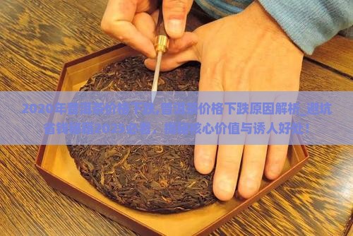 2020年普洱茶价格下跌