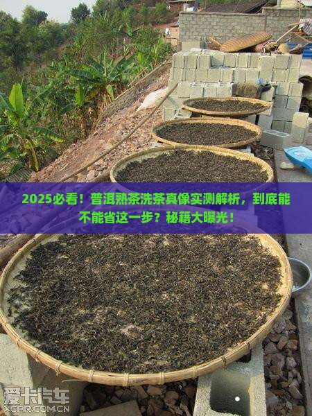普洱茶熟茶可以不洗茶吗