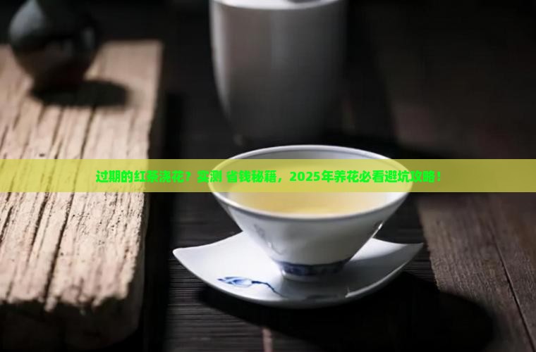 过期的红茶可以浇花吗