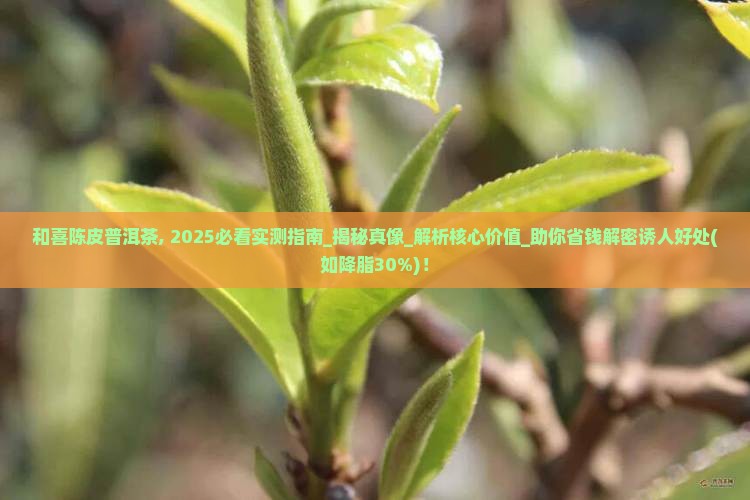 和喜陈皮普洱茶