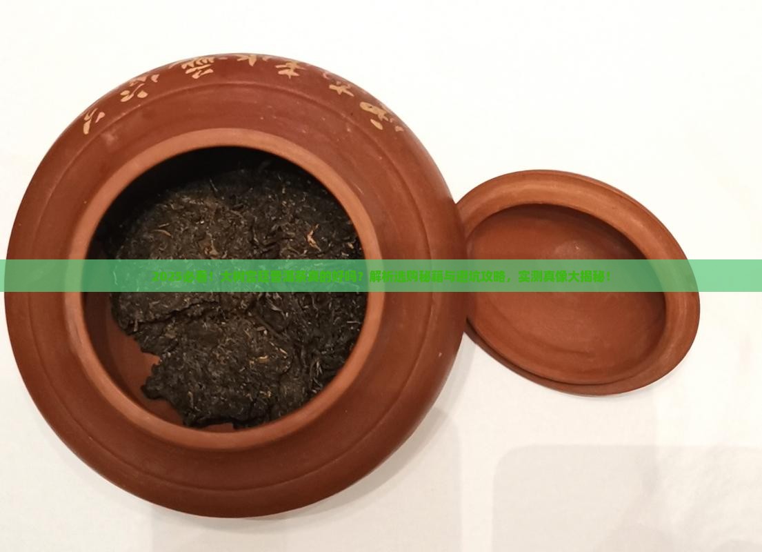 大树宫廷普洱茶好吗