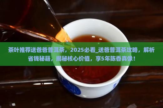 茶叶推荐送爸爸普洱茶