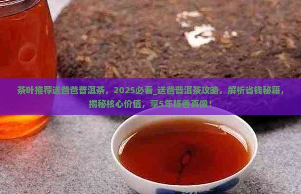 茶叶推荐送爸爸普洱茶