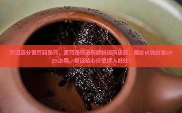 普洱茶分青普和熟普
