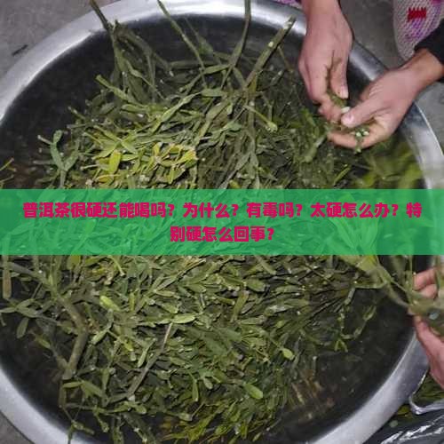 普洱茶很硬还能喝吗