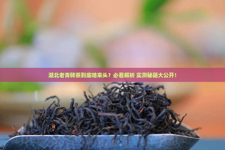 湖北老青砖属于什么茶