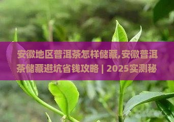 安徽地区普洱茶怎样储藏