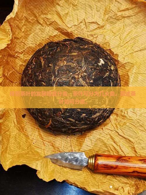 按照茶叶的发酵程度分类